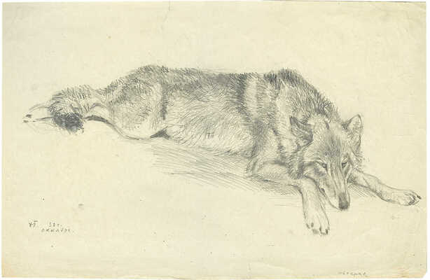 Горлов Дмитрий Владимирович. Овчарка